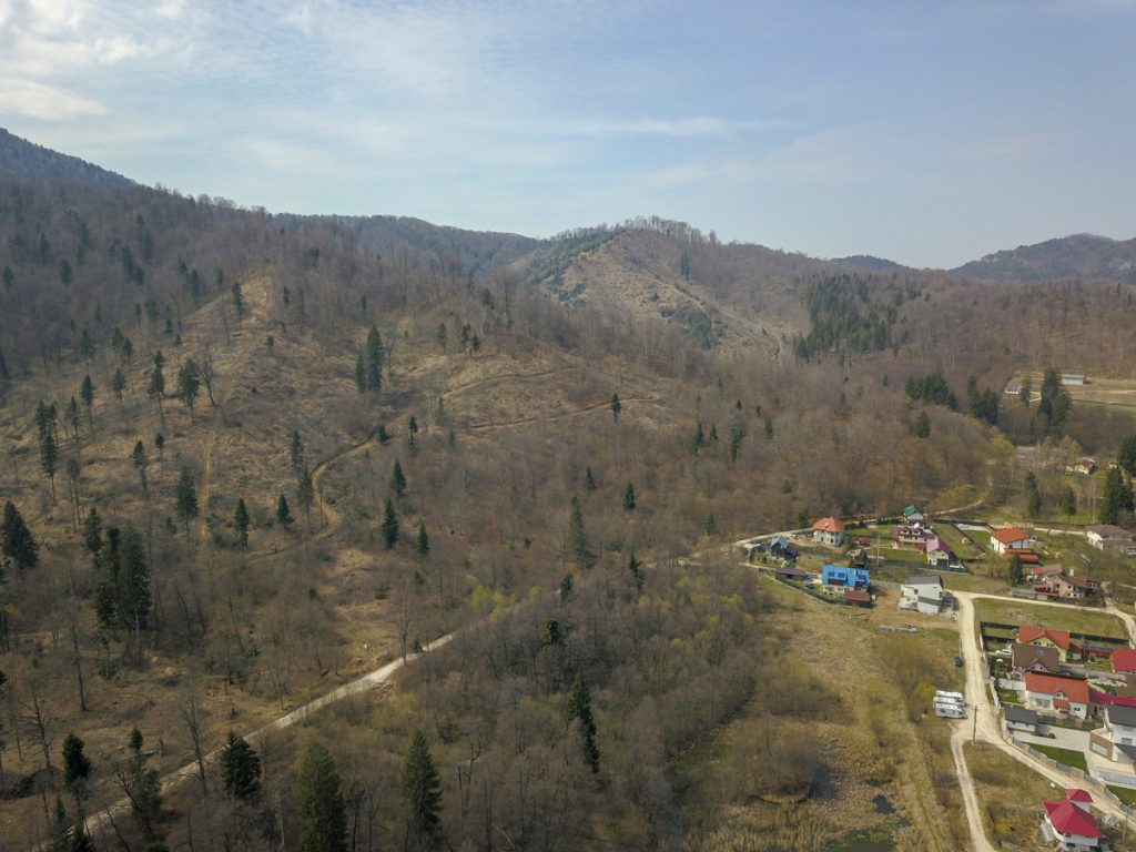 Parc Dendrologic Noua Brasov